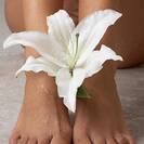 orchidea29 orchidea29