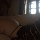 Ludmila-rybakov Ludmila-rybakov