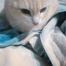 Rubiasexy69 Rubiasexy69