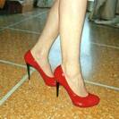 aracnofiga aracnofiga