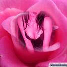 morena442 morena442