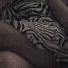 dolcemonellina dolcemonellina